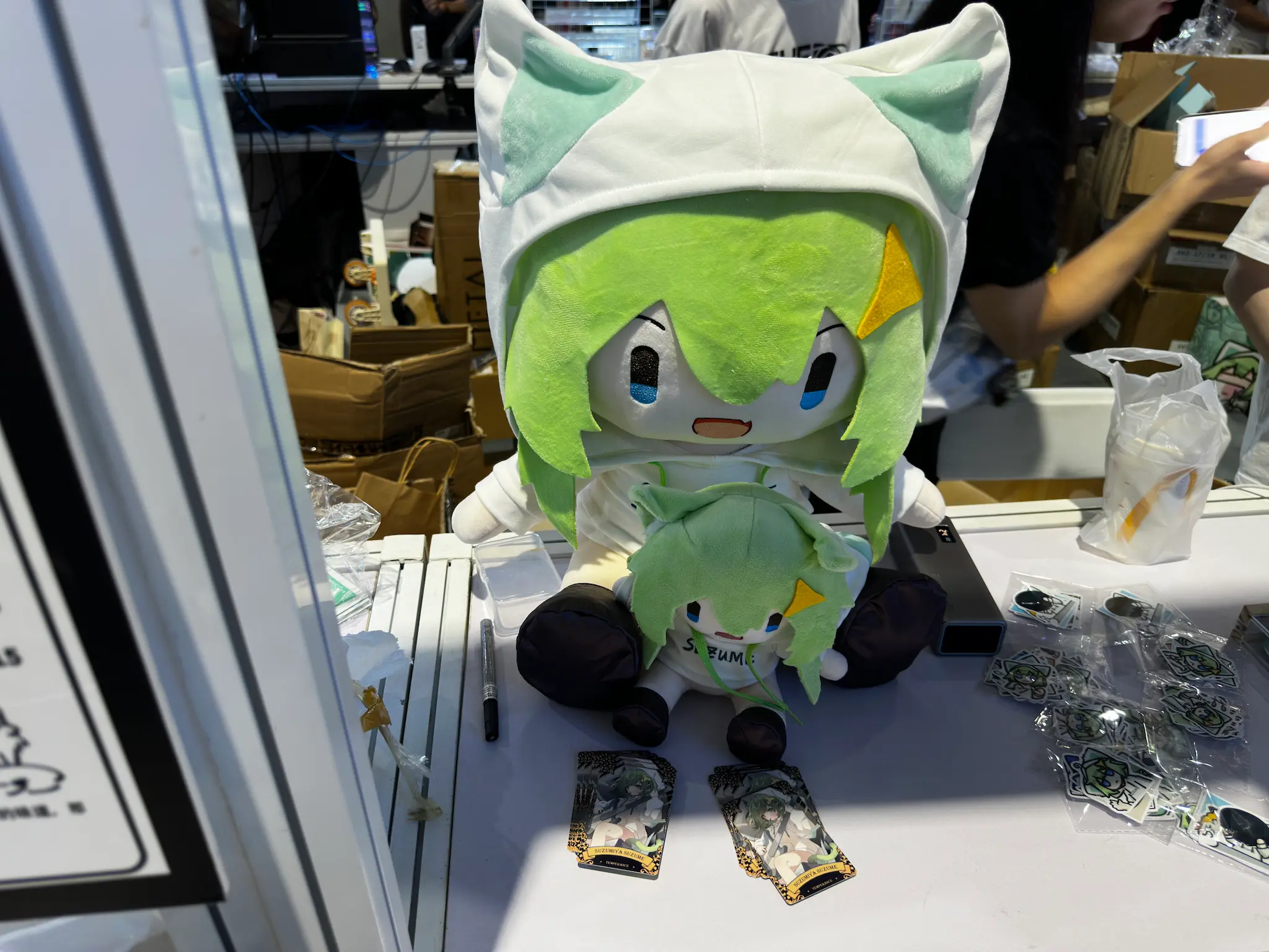 绿猫